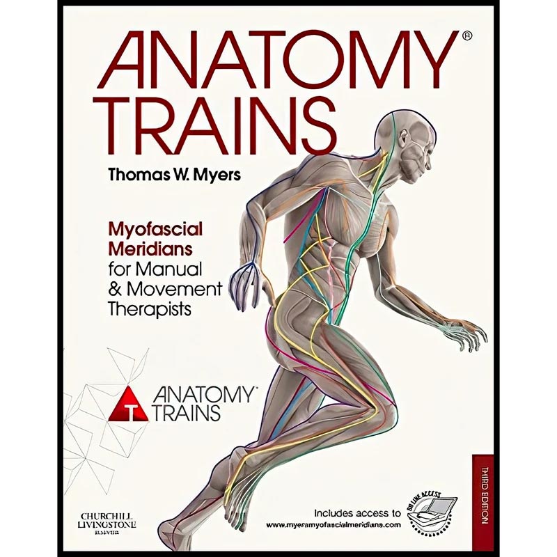 کتاب دنیای ویولنسل اثر شاهین عابدی زاده